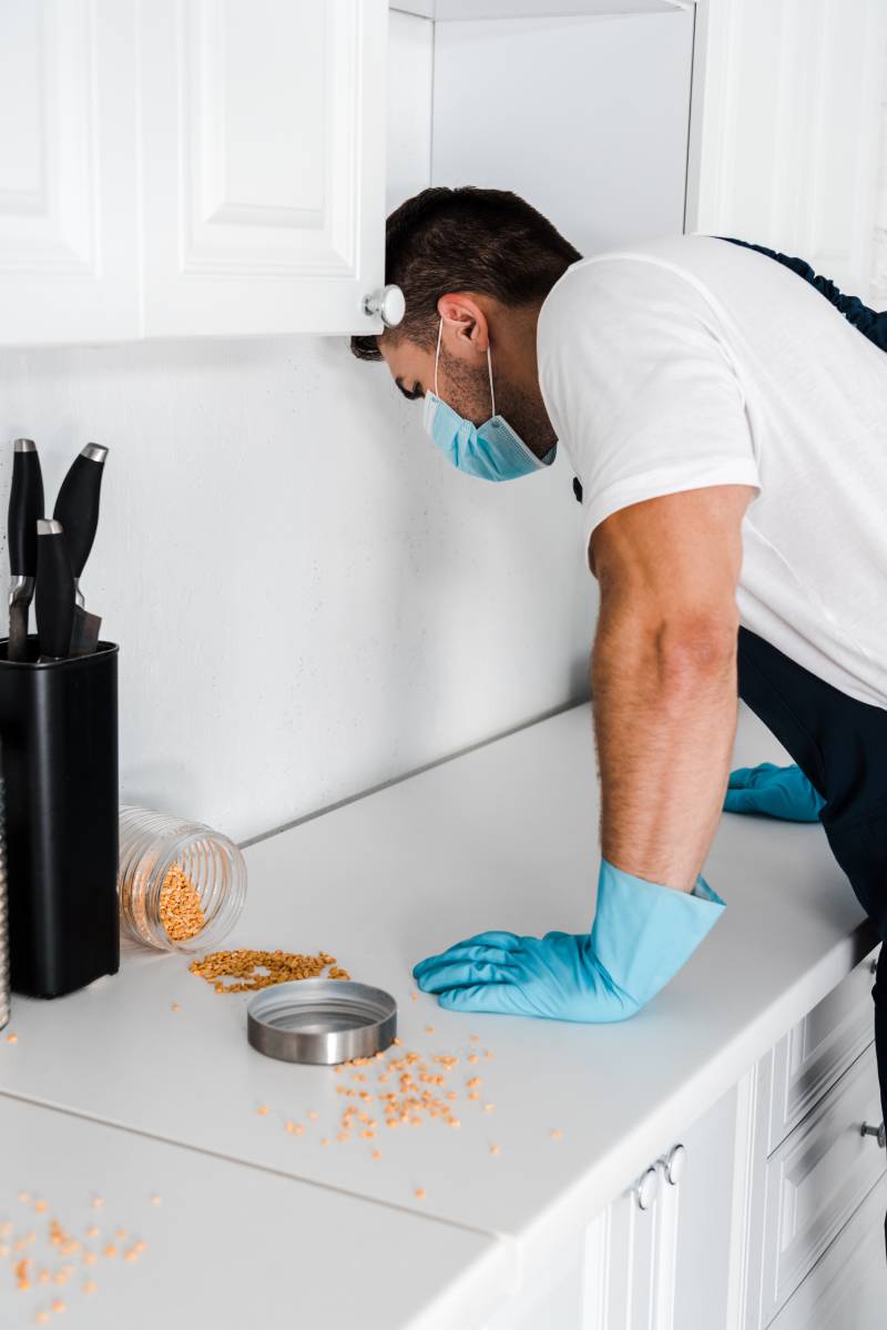 exterminator standing near kitchen cabinet and peas on table