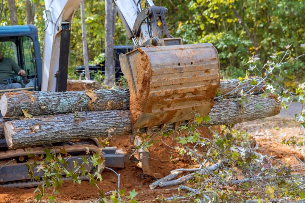 Uprooted trees litter streets after hurricane using with skid steer tractor assisted for cleaning up street