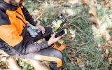 Lumberman in protective workwear sitting with mobile phone on the felled tree, resting after the hard work in the forest, close-up view with cropped face